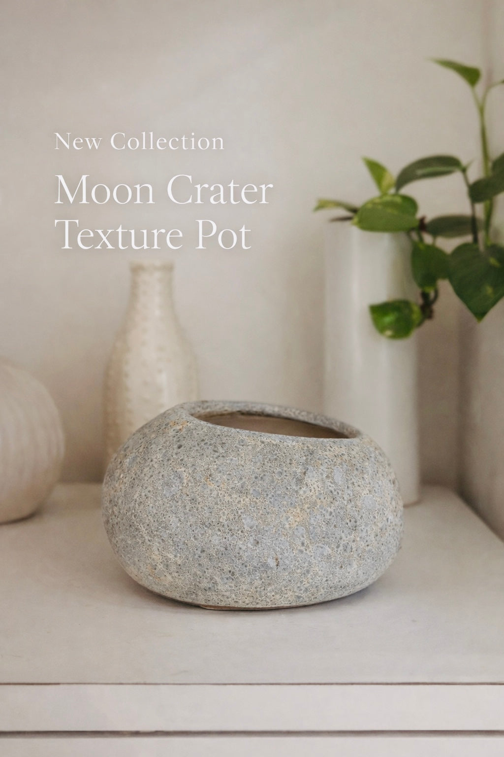 Moon Crater Textured Round Bonsai Pot – 7 Inch | Fantastic Pot Series