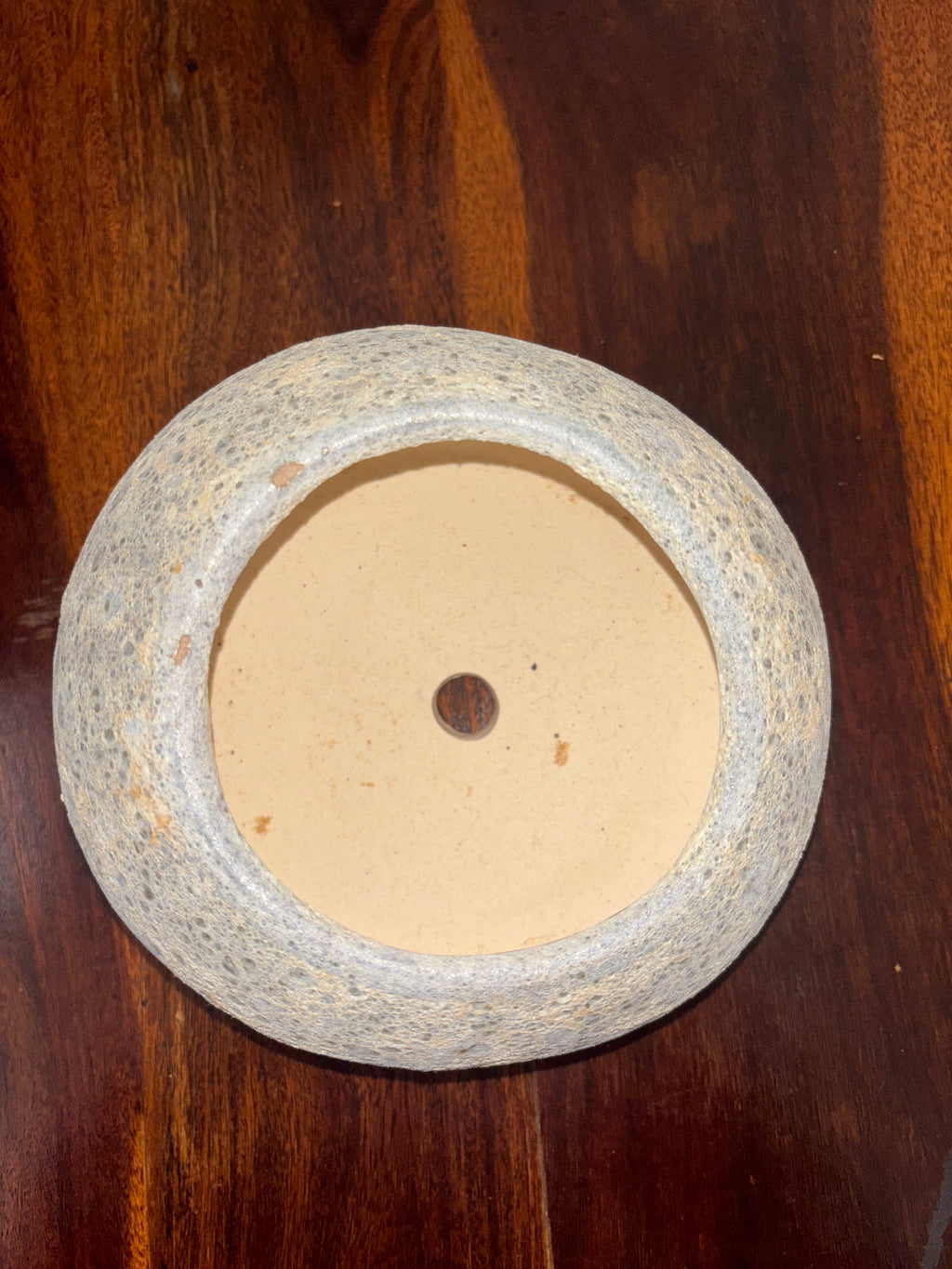 Moon Crater Textured Round Bonsai Pot – 7 Inch | Fantastic Pot Series